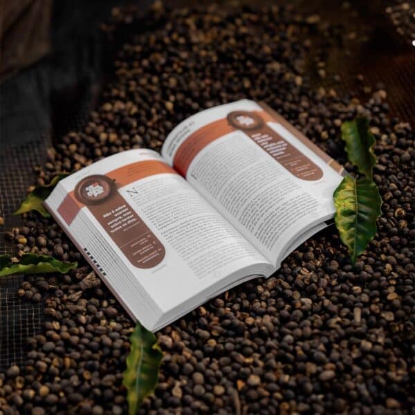 Café com Deus Pai 2025: Porções Diárias de Transformação - Imagem 2